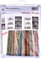 Thea Gouverneur - Borduurpakket met telpatroon - 479A - Voorgesorteerde DMC Garens - Istanbul - Aida - 79 cm x 50 cm - DIY Kit