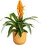 Elho Jazz Rond 26 Bloempot - 100% Gerecycled Plastic - Ø 26 x H 24.2 cm - Amber geel
