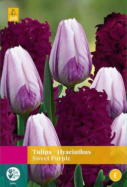 JUB - Tulipa/Hyacinthus Sweet Purple, 10 bloembollen