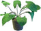 KidsDepot Plant Zebrina Vilt - Sierplant - Kunstplant - Kinderkamer of woonkamer