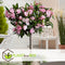 Plant in a Box - Nerium Oleander - Tuinplant - Pot 21cm - Hoogte 80-90cm