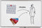 Whiteboard Legamaster Universal plus 90x120cm emaille