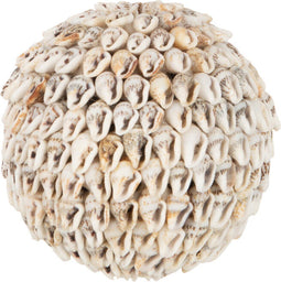 J-Line decoratie Bal Noa - schelpen - naturel - small - 2 stuks