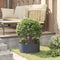 vidaXL - Tuinbak - Anthraciet - 40x40x20 - cm - Staal