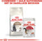 Royal Canin Ageing Sterilised 12+ - Kattenvoer - 4 kg