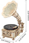Robotime Bouwpakket Rokr Platenspeler 22,6 X 26,1 X 42,9 Cm Hout
