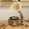 Robotime Klassieke Elektrische & Handgrammofoon LKB01D - Houten Modelbouw