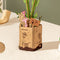 Robotime Pink Carnation TW051 - Knutselen - DIY - Houten bouwpakket - Volwassenen - Bloemen - Creatief