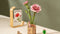 Robotime Pink Carnation TW051 - Knutselen - DIY - Houten bouwpakket - Volwassenen - Bloemen - Creatief