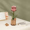 Robotime Pink Rose TW041 - Roze Roos - Knutselen - DIY - Houten bouwpakket - Volwassenen
