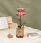 Robotime Pink Rose TW041 - Roze Roos - Knutselen - DIY - Houten bouwpakket - Volwassenen