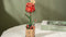 Robotime Red Rose TW042 - Rode Roos - Knutselen - DIY - Houten bouwpakket - Volwassenen - Bloemen - Creatief