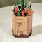 Robotime Red Rose TW042 - Rode Roos - Knutselen - DIY - Houten bouwpakket - Volwassenen - Bloemen - Creatief