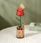 Robotime Red Rose TW042 - Rode Roos - Knutselen - DIY - Houten bouwpakket - Volwassenen - Bloemen - Creatief