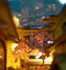 Robotime Rolife Falling Sakura TGB05 - Book Nook - DIY Miniatuurhuis - Knutselen