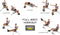 Rock Gym, 6-in-1 fitnessbank – Buikspiertrainer - Coretrainer – Buikspierbank, Halterbank, Fitnessapparaat voor thuis – Ab trainer incl. 2 weerstandsbanden