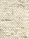 Carlotta 3 Vloerkleed - 200x250 - Rechthoek - Laagpolig,Structuur Tapijt - Industrieel - Beige, Bruin