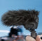 RODE Deadcat VMP, Windshield for Videomic PRO