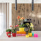 Rode Phalaenopsis orchidee – Congo + Berry sierpot – potmaat Ø9cm – 40cm hoog | bloeiende kamerplant in bloempot - vers van de kweker