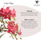 Rode Phalaenopsis orchidee – Congo + Gummy pot travertine – potmaat Ø9cm – 40cm hoog -