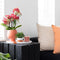 Rode Phalaenopsis orchidee - Congo - potmaat Ø9cm | bloeiende kamerplant - vers van de kweker