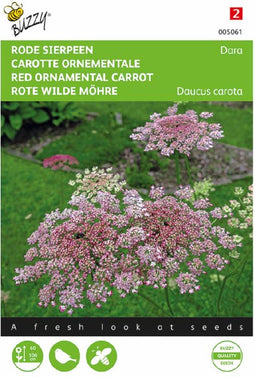 Rode sierpeen Dara - (Daucus carota)