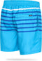 Pierre Cardin - Gestreepte Zwembroek - Heren - Blauw - Maat S