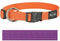 Rogz For Dogs Fanbelt Halsband - Paars - 20 mm x 34-56 cm