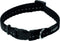 Rogz For Dogs Nitelife Halsband - Zwart - 11 mm x 20-32 cm