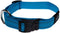 Rogz For Dogs Nitelife Hondenhalsband - 11 mm x 20-32 cm - Turquoise