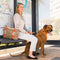 ROGZ FOR DOGS | Rogz For Dogs Fanbelt Choker Turqouise