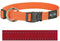 ROGZ FOR DOGS | Rogz For Dogs Fanbelt Halsband Rood