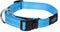 ROGZ FOR DOGS | Rogz For Dogs Fanbelt Halsband Turquoise