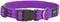 Rogz For Dogs Snake Halsband - Paars - 16 mm x 26-40 cm