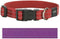 Rogz For Dogs Snake Halsband - Paars - 16 mm x 26-40 cm