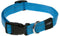 Rogz For Dogs Snake Halsband Rood 16 mmx26-40 cm
