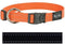 Rogz Utility Halsband Zwart - Hondenhalsband - 34-56x2.0 cm
