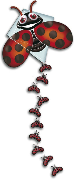 Rohmbus Pop-Up Vlieger Lady Bug