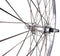 Roland Achterwiel 26 Inch Velgrem Freewheel 36g Zilver