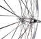 Roland Achterwiel 26 Inch Velgrem Freewheel 36g Zilver