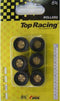 Rollenset 16X13 Honda/Kymco/ Peug/Piagg/PGO 11.5gr.