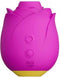 Romp Suction - Clitorisvibrator - Roze - In de Vorm van een Roos