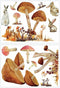 Roommates Mushroom Muursticker Junior 83,51 X 127 Cm Bruin