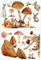 Roommates Mushroom Muursticker Junior 83,51 X 127 Cm Bruin