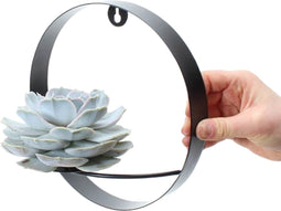 ROOTLESS Succulent Echeveria Lilacina op Muurdeco standaard zwart Ø20 cm - 20 cm -