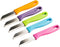 RÖR Solingen Schilmesje Aardappelmesje - RVS Glad - 16 cm - Mix Kleur - 10 Stuks