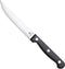 RÖR Solingen Steakmes - Glad - RVS - Lemmet 11.5 cm - Kunststof Heft - 6 delig