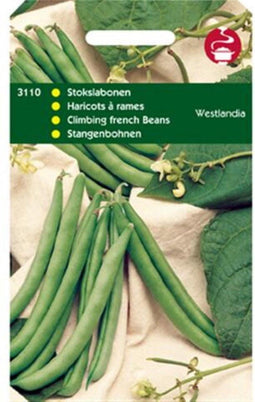 Stokslabonen Westlandse Dubbele Z.Dr.