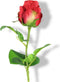 Rosa rood