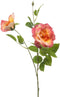 Rose liza spray x3 peach 80 cm Emerald